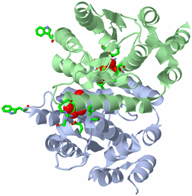 Image Asym. Unit - sites