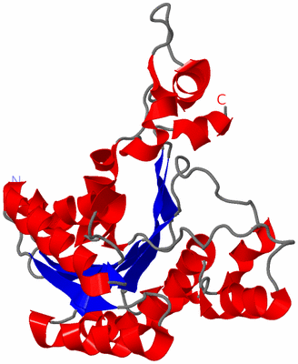 Image Asymmetric Unit