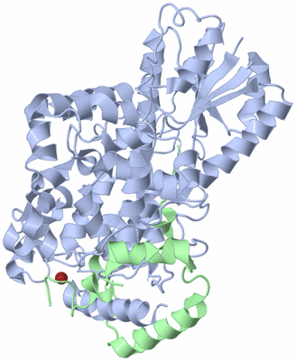 Image Biological Unit 1