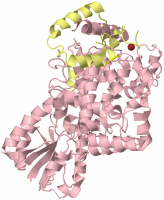 Image Biological Unit 2