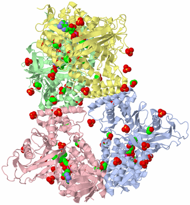 Image Asym./Biol. Unit