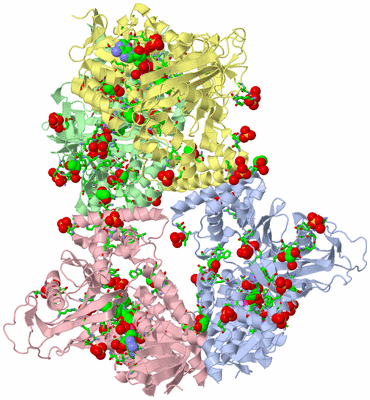 Image Asym./Biol. Unit - sites