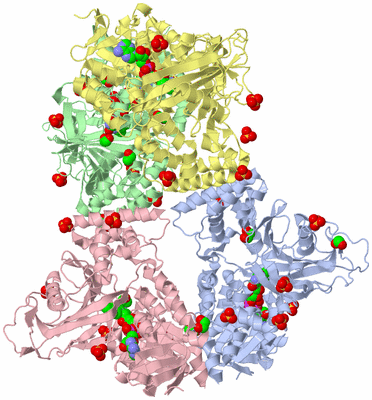 Image Asym./Biol. Unit