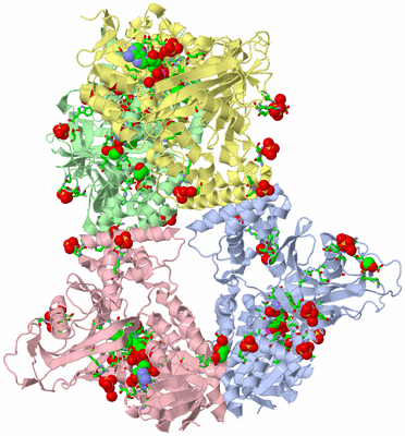 Image Asym./Biol. Unit - sites