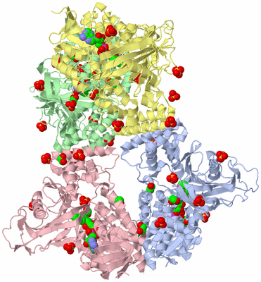 Image Asym./Biol. Unit