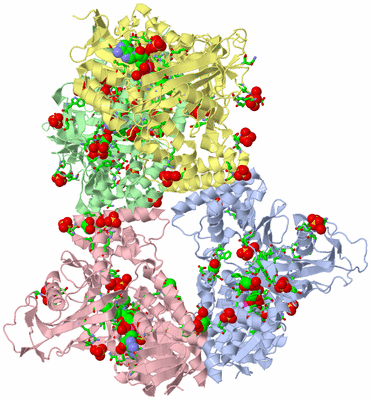 Image Asym./Biol. Unit - sites