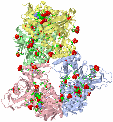 Image Asym./Biol. Unit - sites