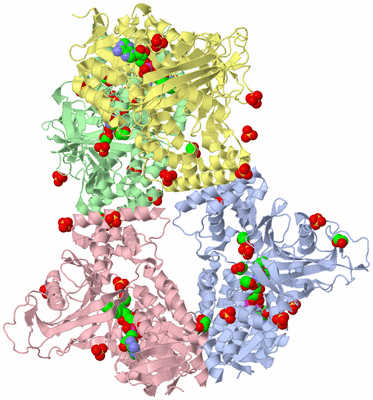 Image Asym./Biol. Unit