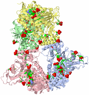 Image Asym./Biol. Unit - sites