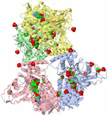 Image Asym./Biol. Unit