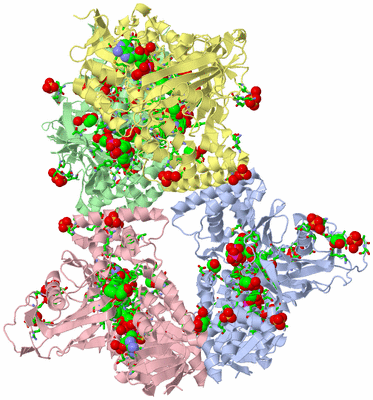 Image Asym./Biol. Unit - sites