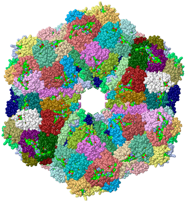 Image Biol. Unit 1 - sites