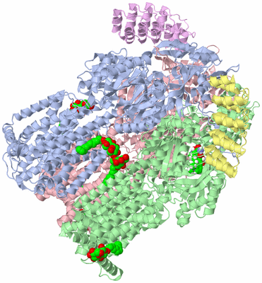 Image Asym./Biol. Unit