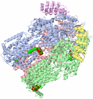 Image Asym./Biol. Unit