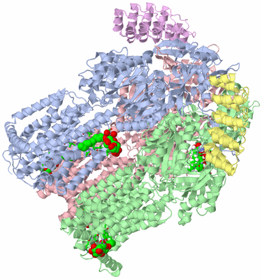 Image Asym./Biol. Unit - sites