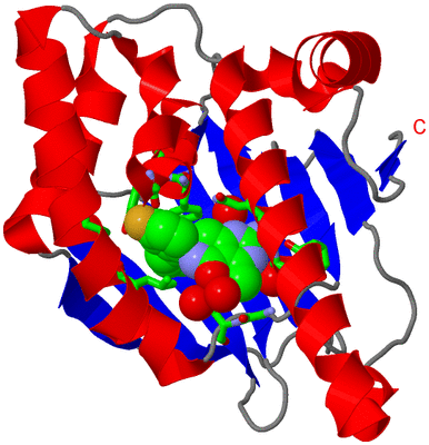 Image Asym./Biol. Unit - sites