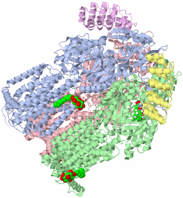 Image Asym./Biol. Unit