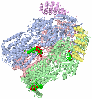 Image Asym./Biol. Unit - sites