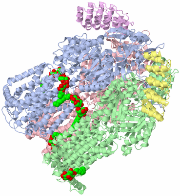 Image Asym./Biol. Unit