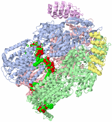 Image Asym./Biol. Unit - sites