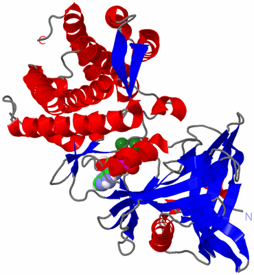 Image Asym./Biol. Unit