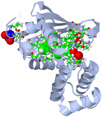 Image Biol. Unit 1 - sites