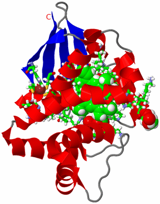 Image Asym./Biol. Unit - sites