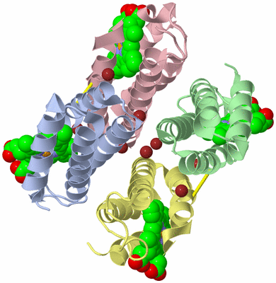 Image Asym./Biol. Unit