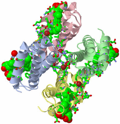 Image Asym./Biol. Unit - sites