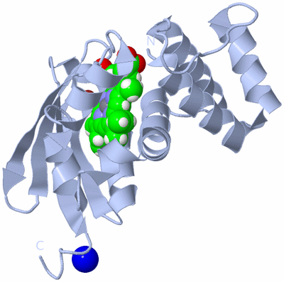 Image Biological Unit 1