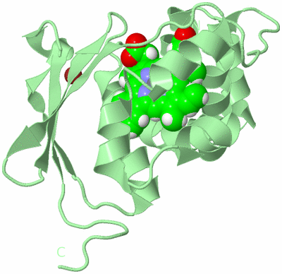 Image Biological Unit 2