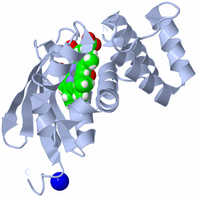 Image Biological Unit 1