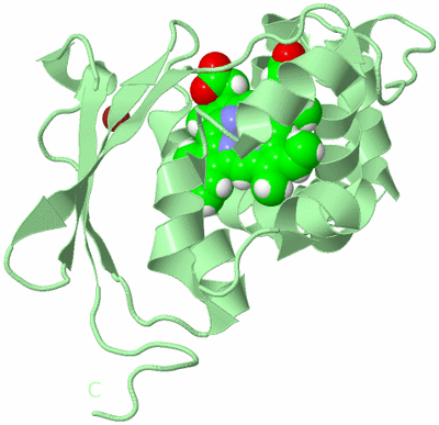 Image Biological Unit 2