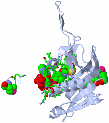 Image Biol. Unit 1 - sites