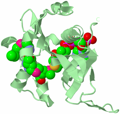 Image Biological Unit 2