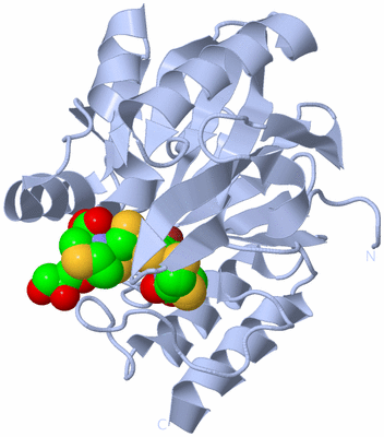 Image Biological Unit 1