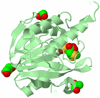 Image Biological Unit 2