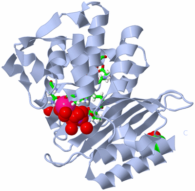 Image Biol. Unit 1 - sites