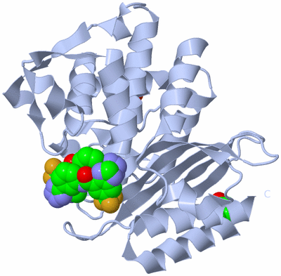 Image Biological Unit 1