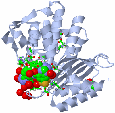 Image Biol. Unit 1 - sites