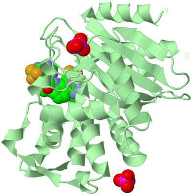 Image Biological Unit 2