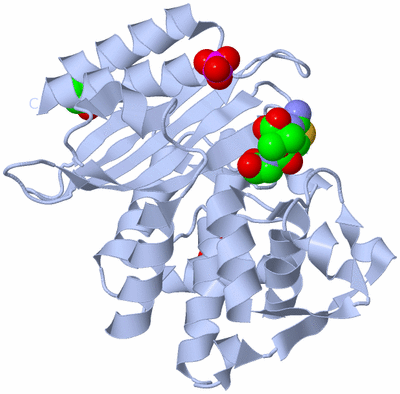 Image Biological Unit 1