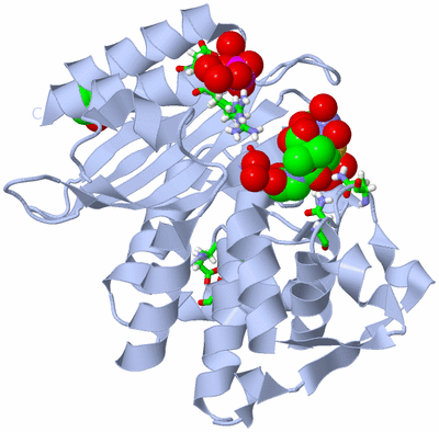 Image Biol. Unit 1 - sites