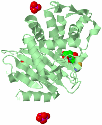 Image Biological Unit 2