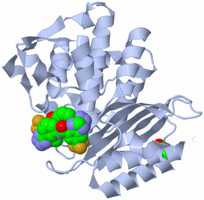 Image Biological Unit 1