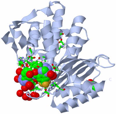 Image Biol. Unit 1 - sites