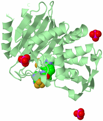 Image Biological Unit 2