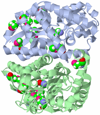 Image Asym./Biol. Unit