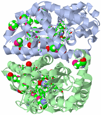 Image Asym./Biol. Unit - sites