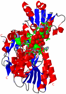 Image Asym./Biol. Unit - sites